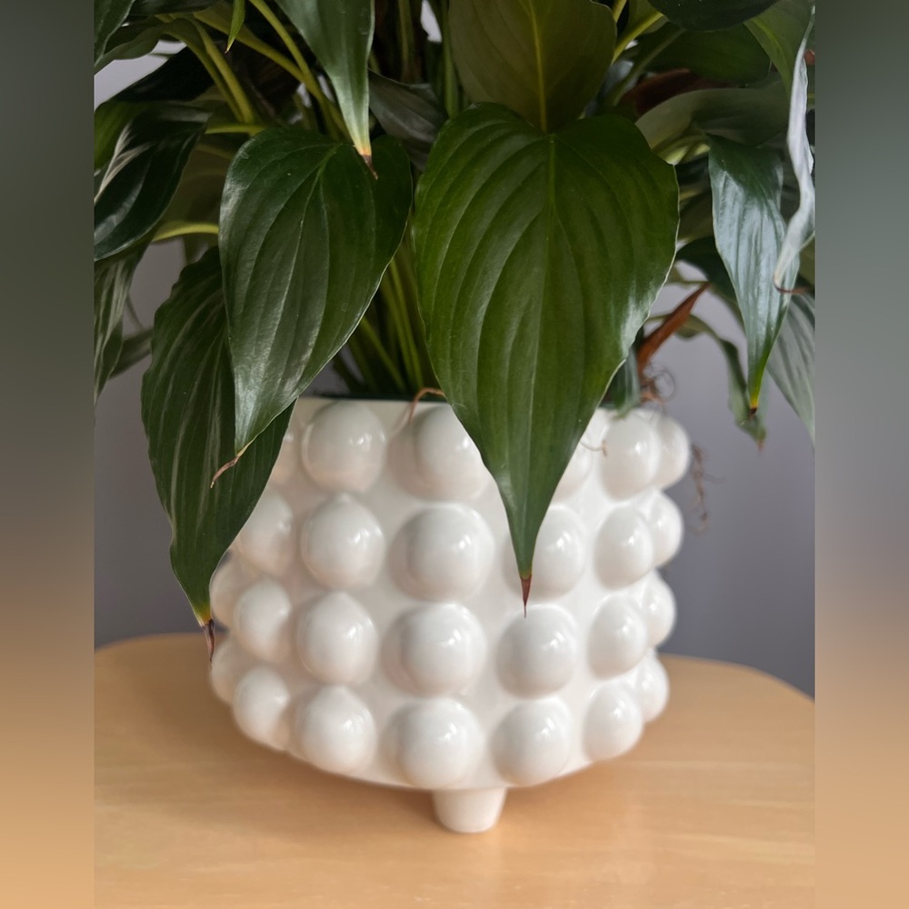 WHITE HOBNAIL CERAMIC PLANTER WITH DRAINAGE HOLE IS NWT